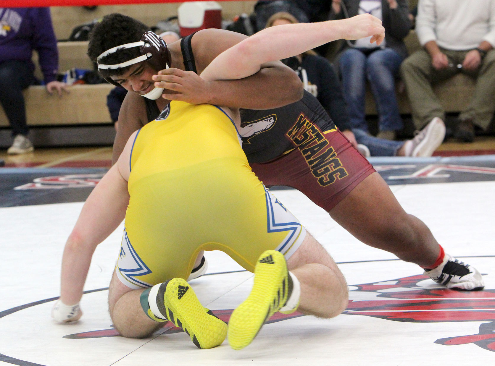 Division 1 wrestling regional at Chippewa Falls 2-9-19